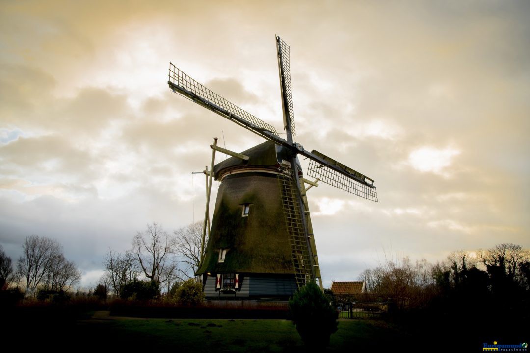 Molino en Amsterdam