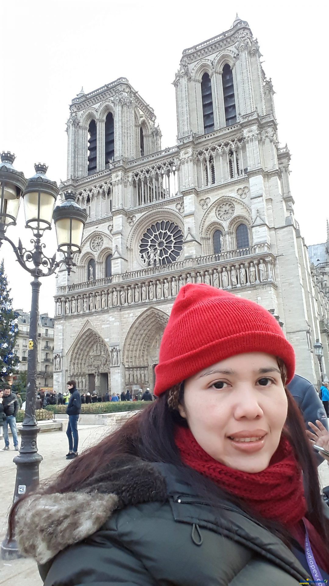 Catedral Notre Dame antes del Incendio