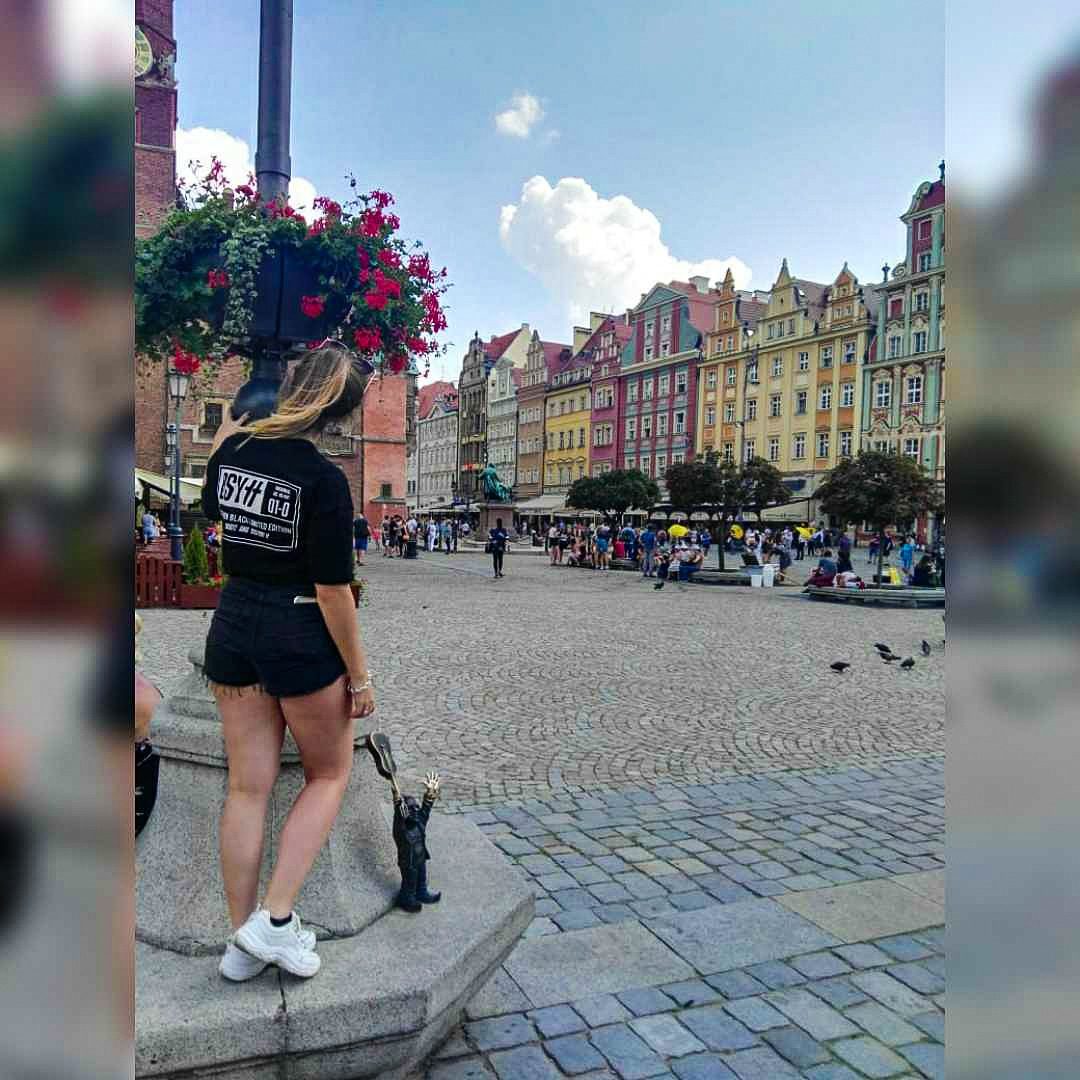 Mercado de Breslavia (Rynek we Wrocławiu)