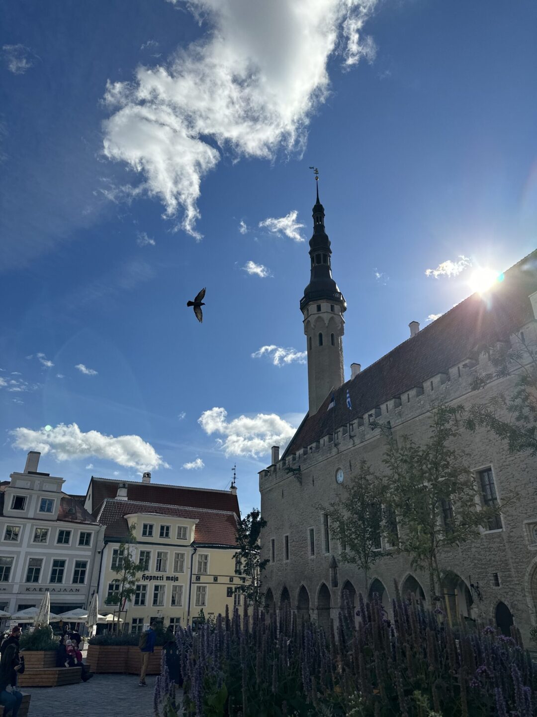 Old Tallinn
