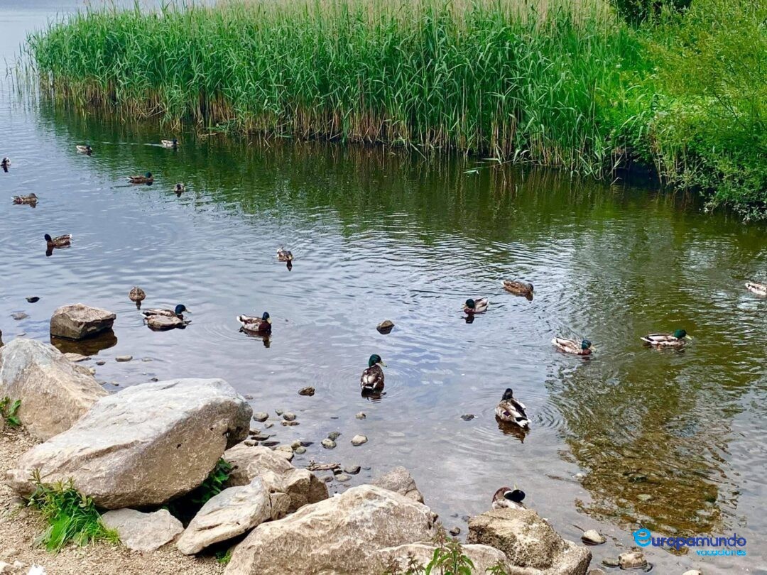 Parque nacional Killarney