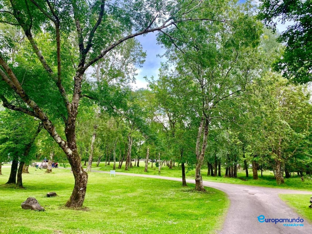 Parque nacional Killarney