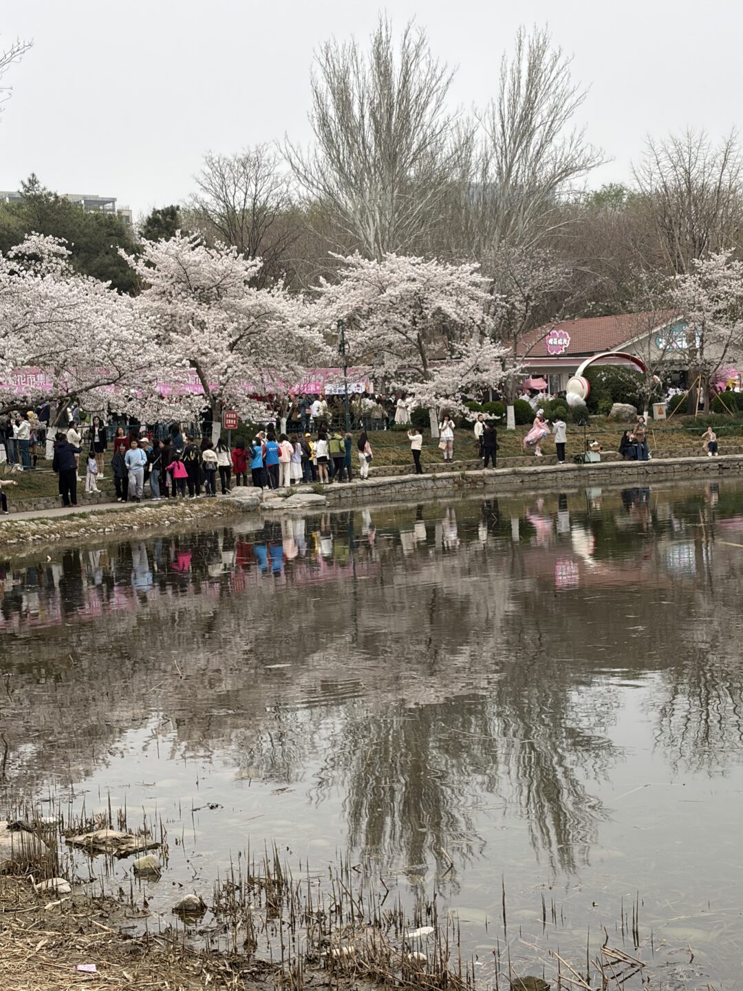 Parque Yuyuan