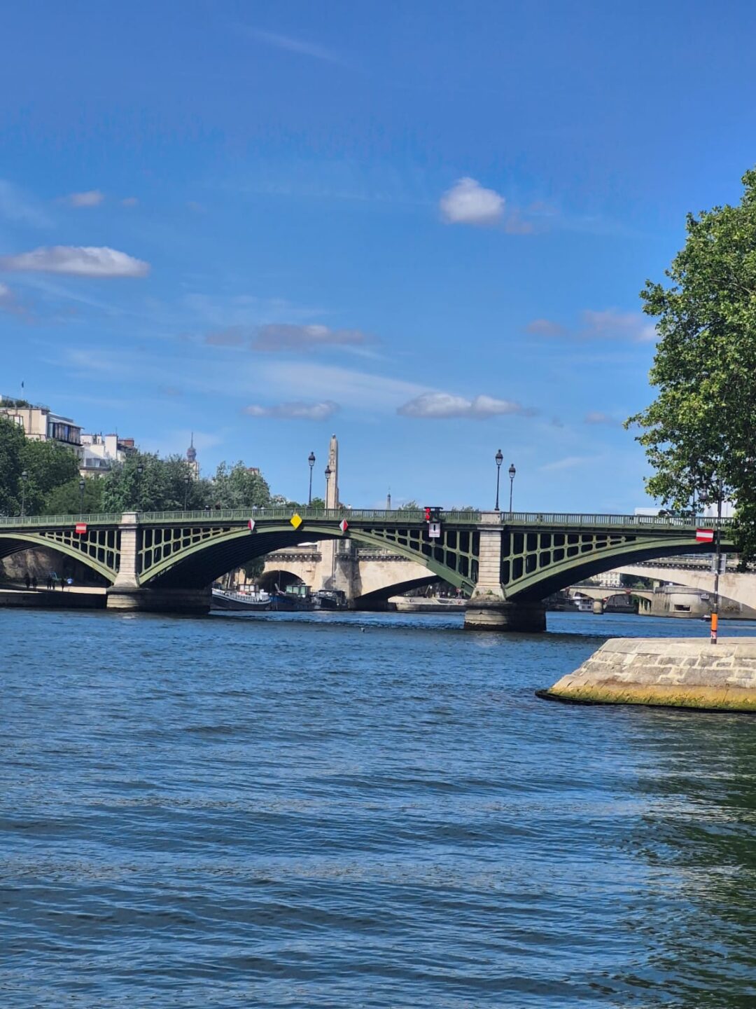 Ponte Sully