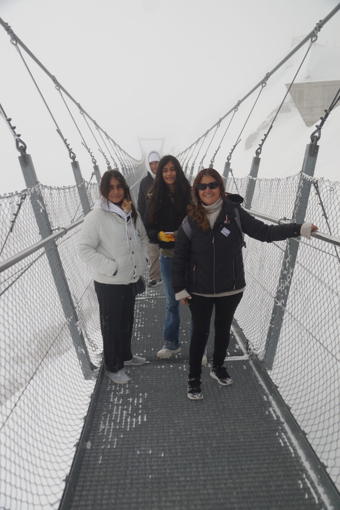 Puente colgante-monte titlis