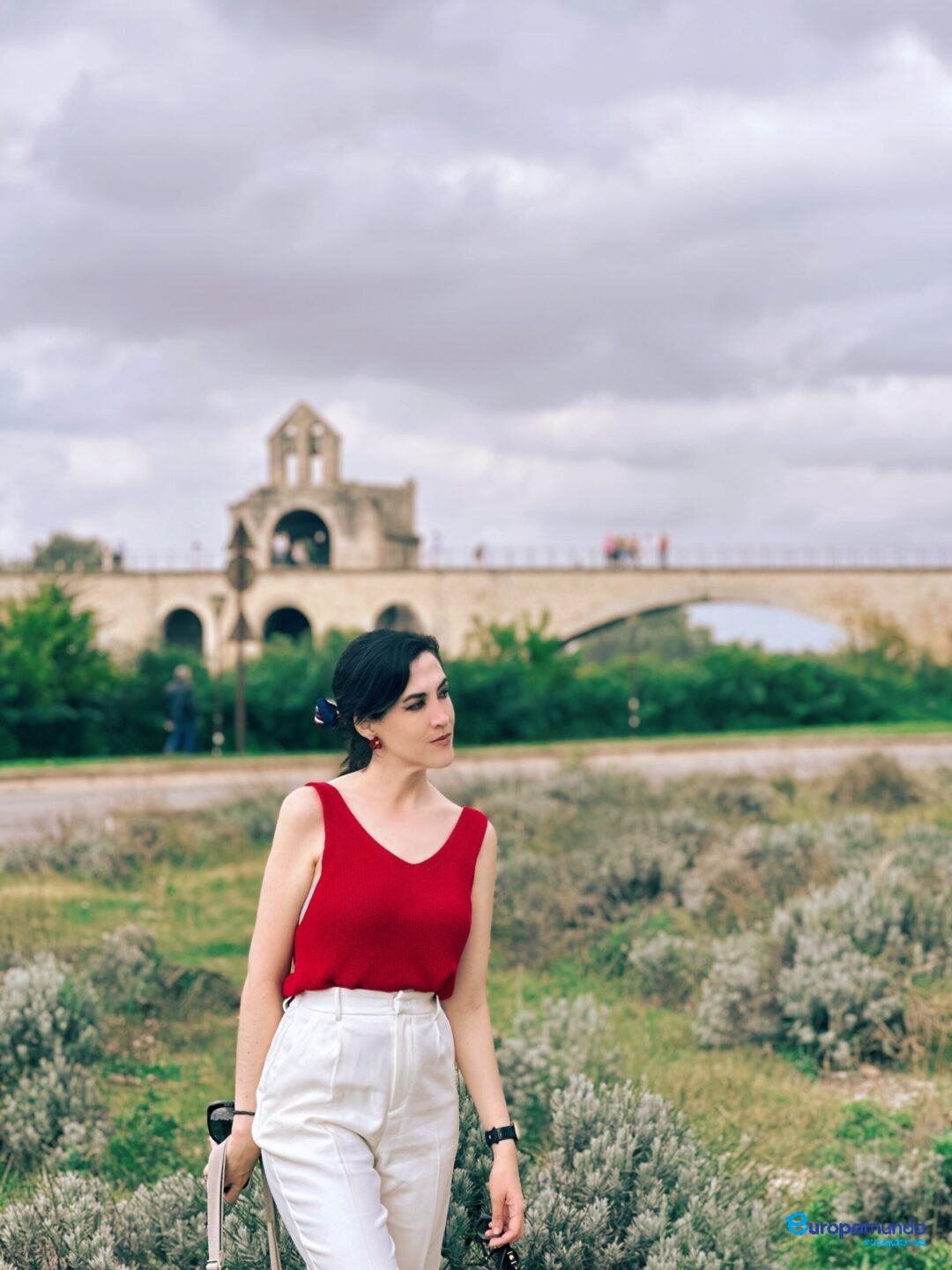 Puente de Avignon