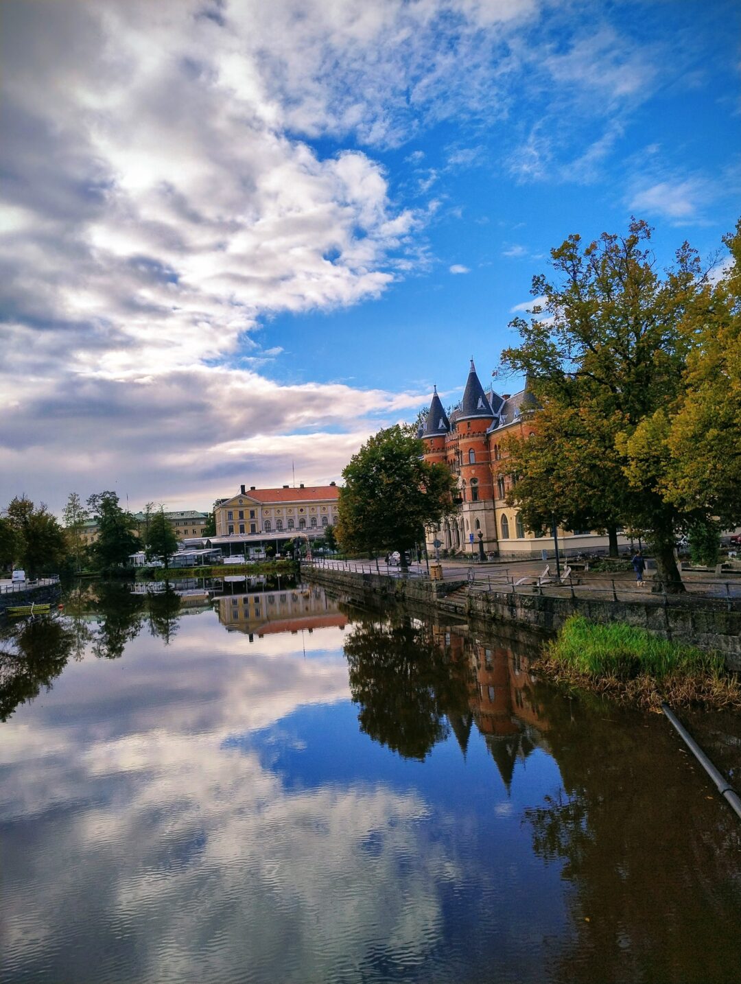 Reflejos