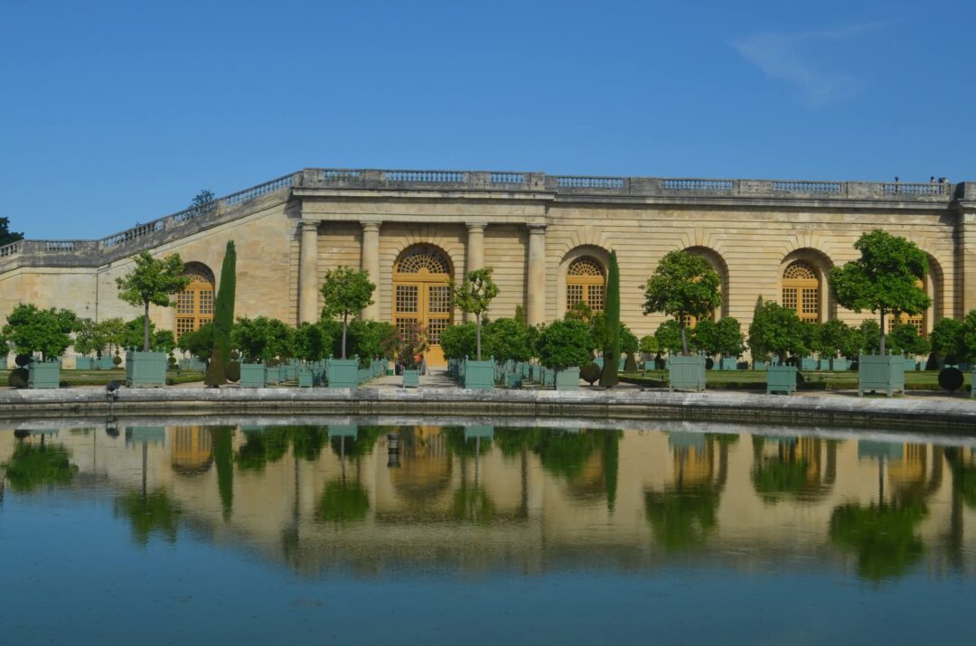 Reflexos