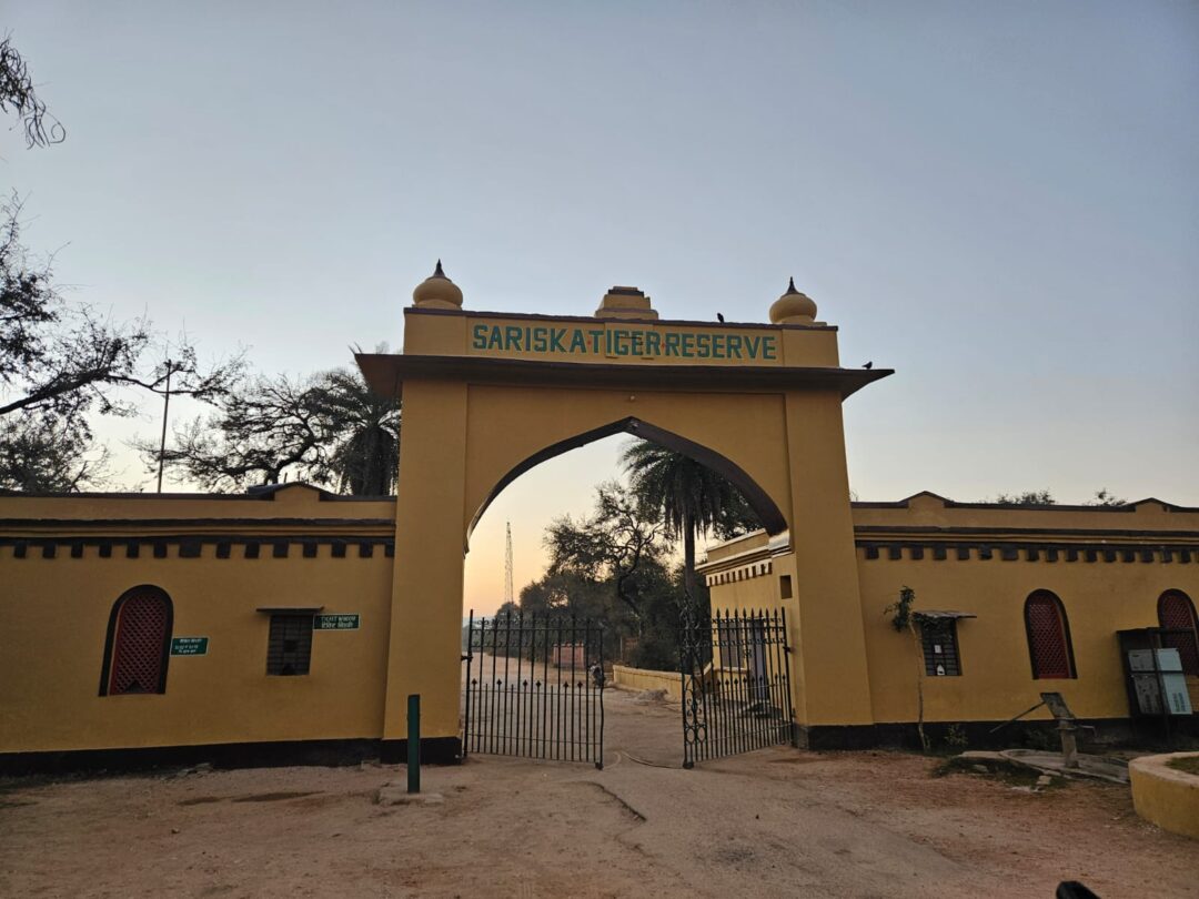 Reserva de Tigres de Sariska