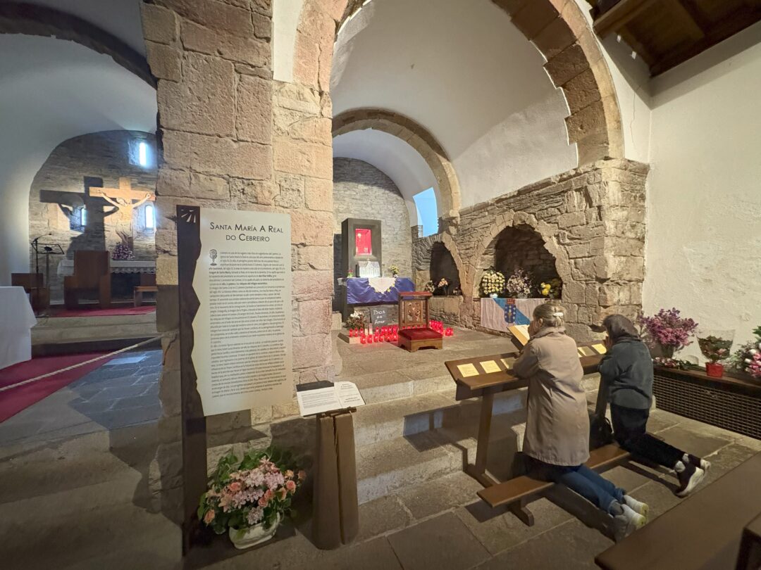 SATARIO DE SANTA MARIA LA REAL DE OÇEBREIRO