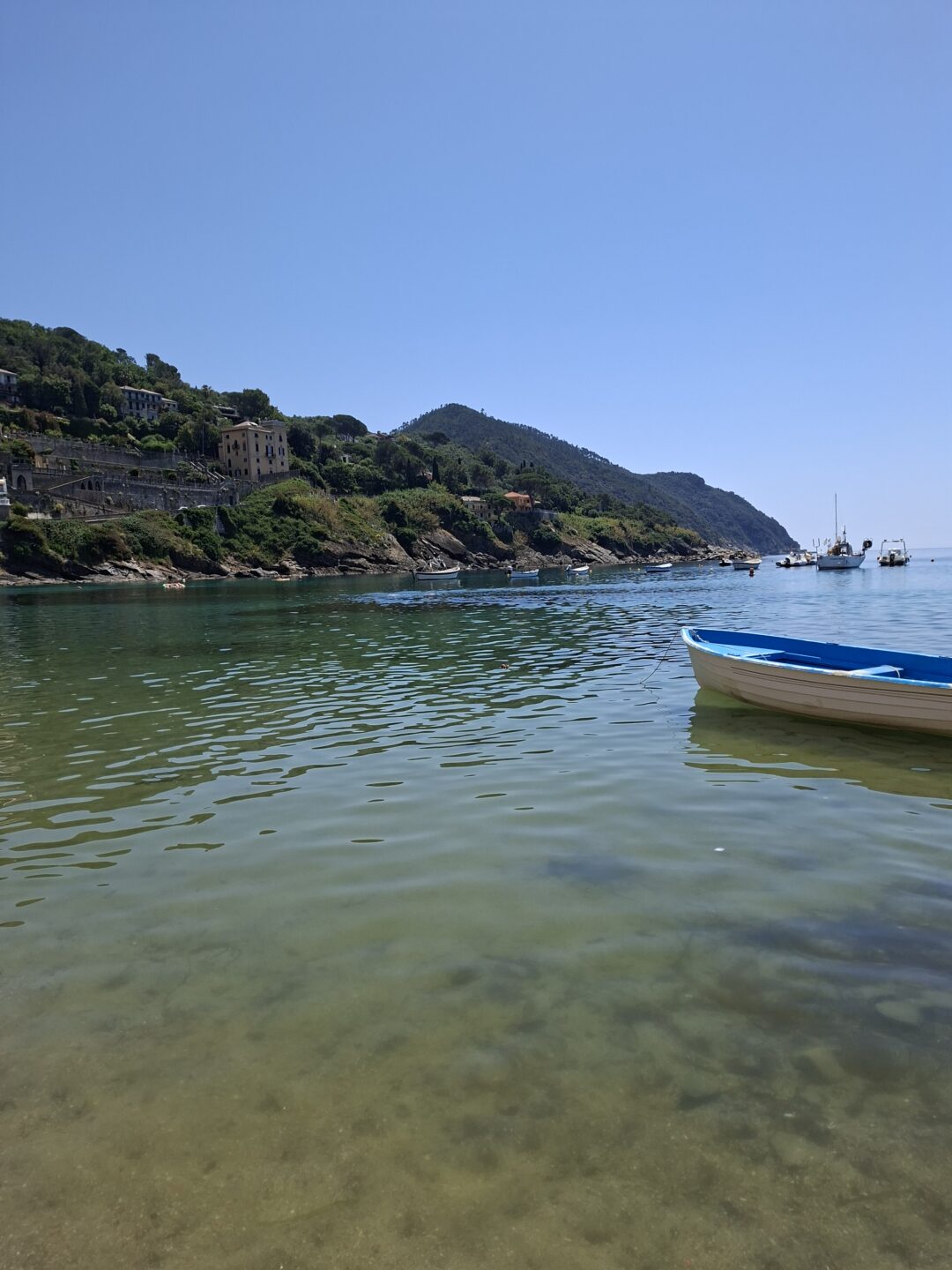 Sestri levante