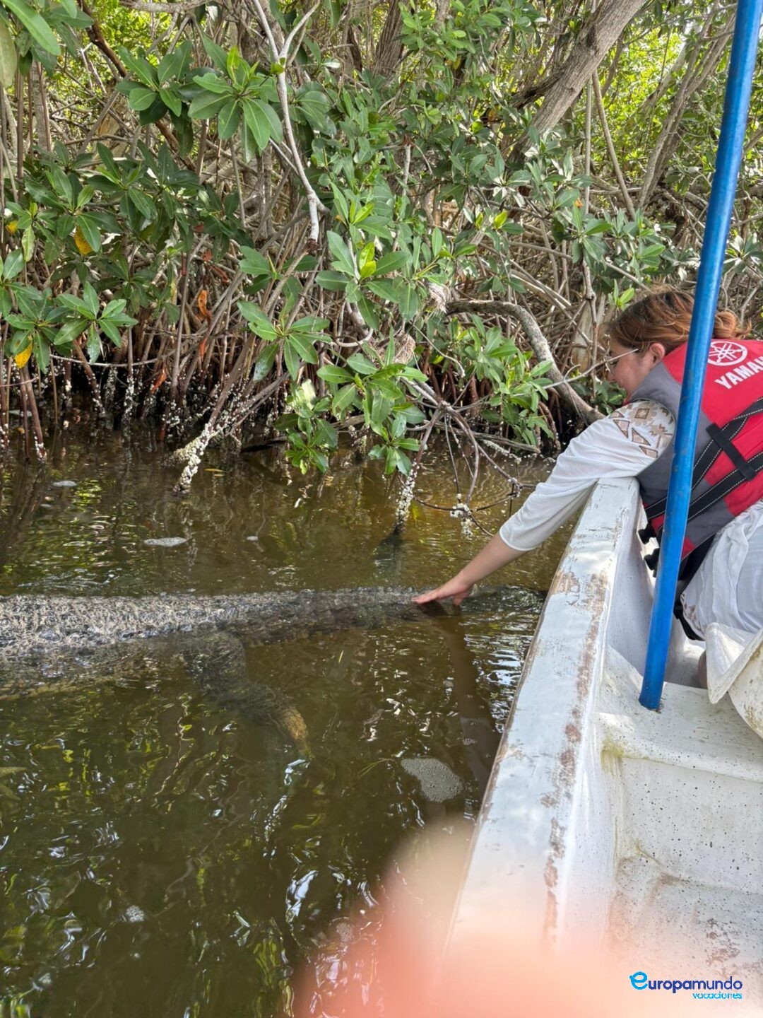 Tocando Cocodrilos en Rio Lagartos