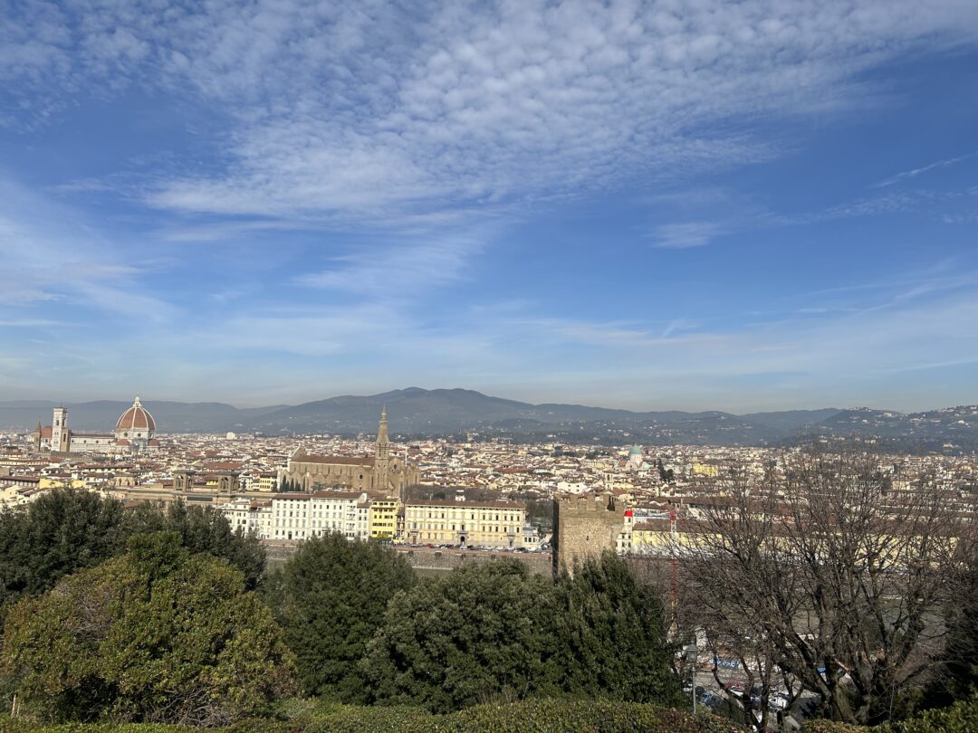 Vista de la ciudad de Florencia