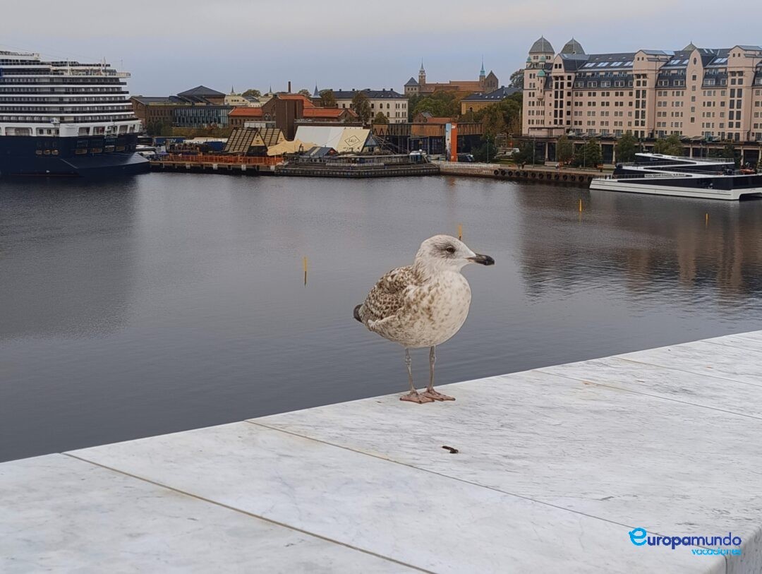 Vista desde edificio de la Opera