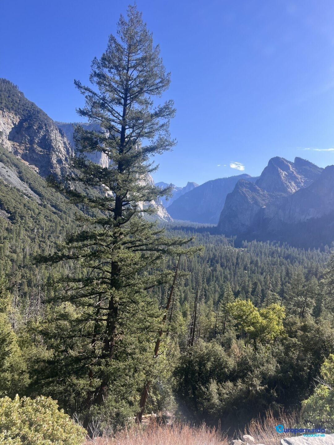 Yosemite